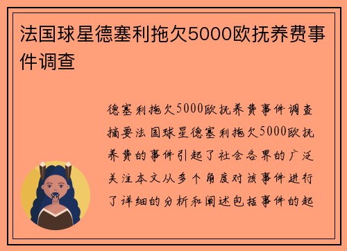 法国球星德塞利拖欠5000欧抚养费事件调查